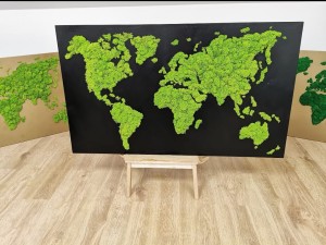 Panel Mapa Świata z mchu chrobotka